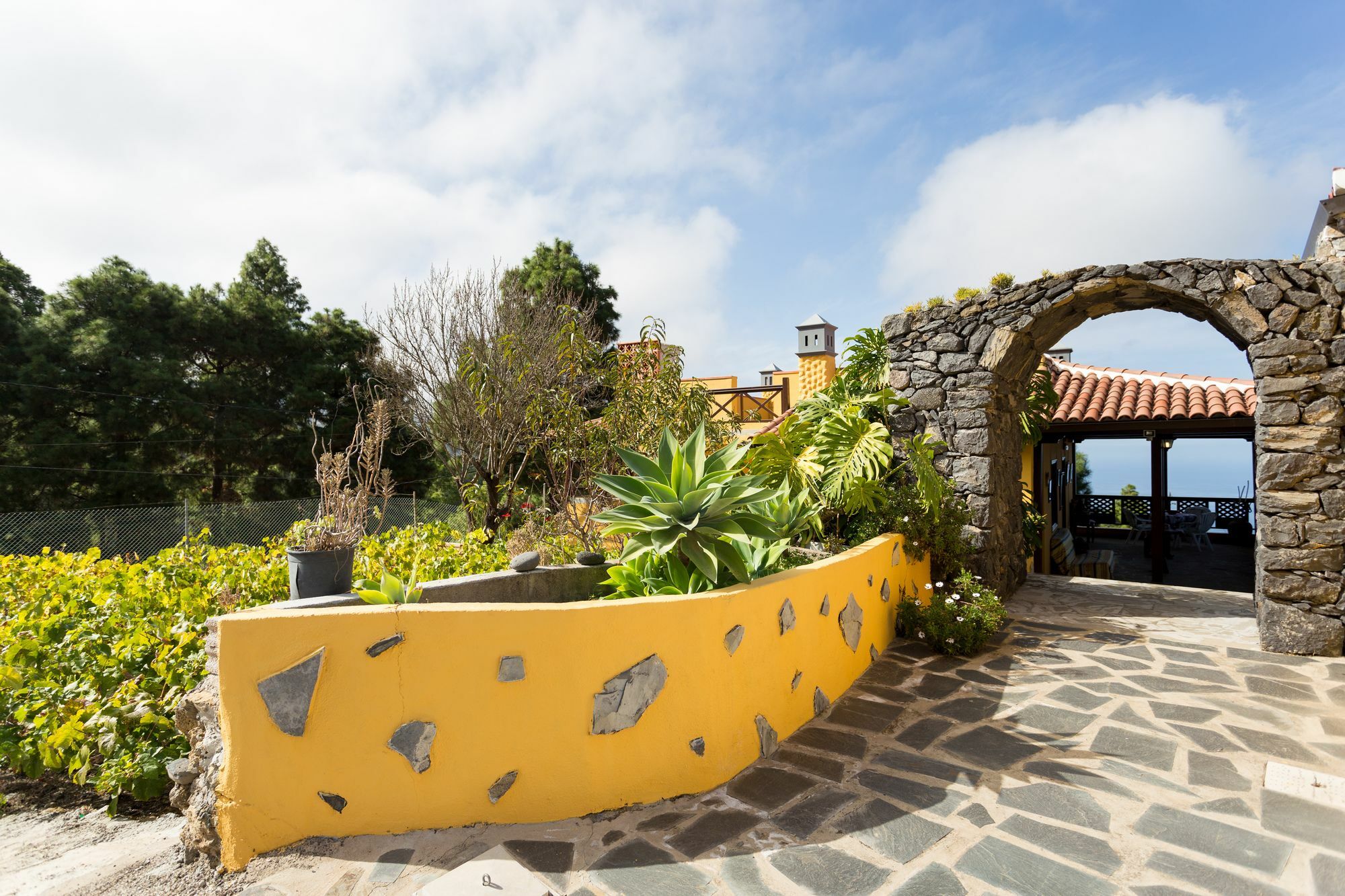 Finca Casa Yaya Icod De Los Vinos Exteriör bild